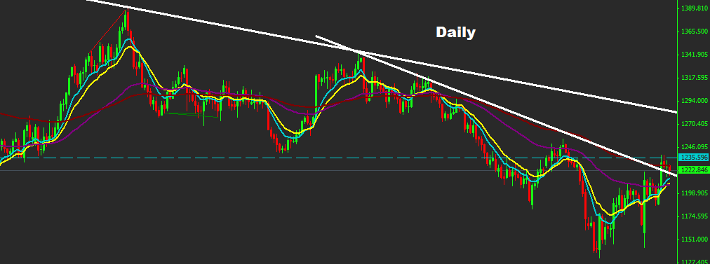 Gold 12th December 2014