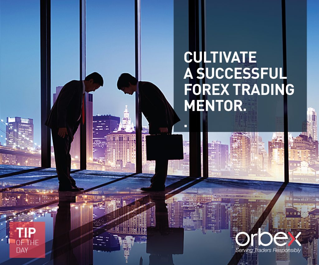 Cultivate a successful forex trading
