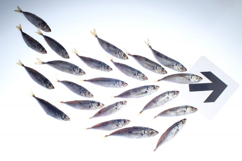 Trend Following_ADX Indicator_0607