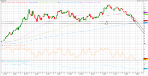 المؤشر العام للدولار
