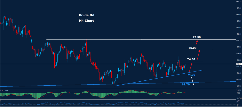 النفط الخام 16-01-2024