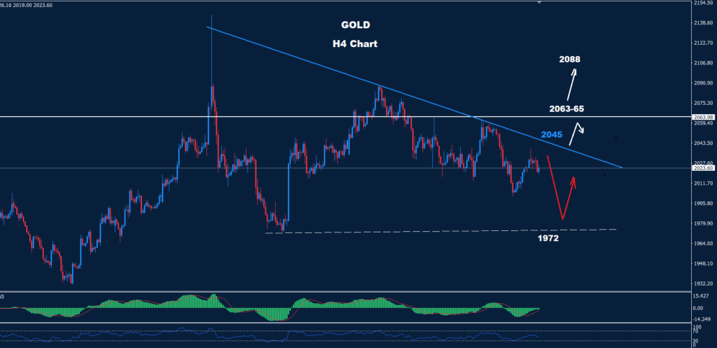 الذهب 30-01-2024