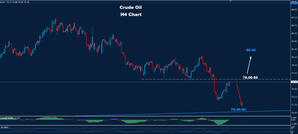 Crude Oil – 10.06.2024