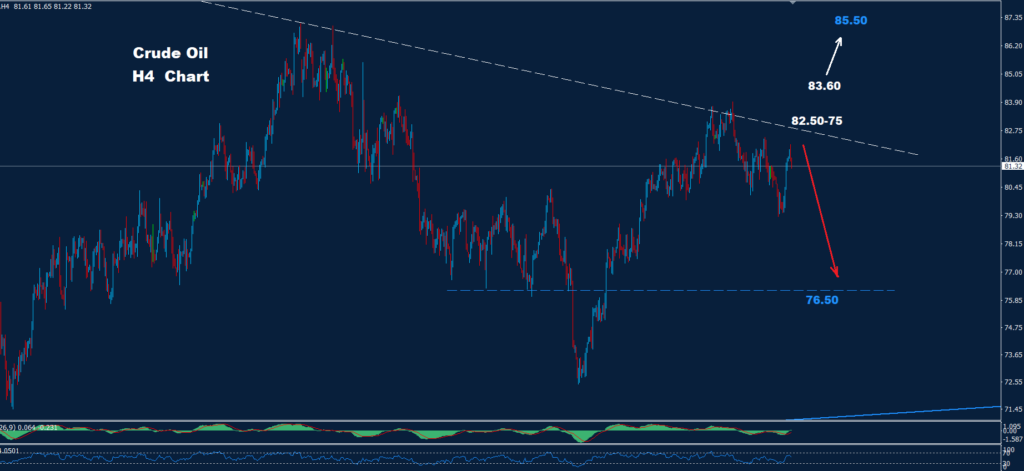Crude Oil – 19.07.2024