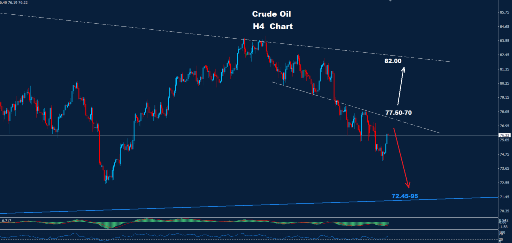 Crude Oil – 31.07.2024