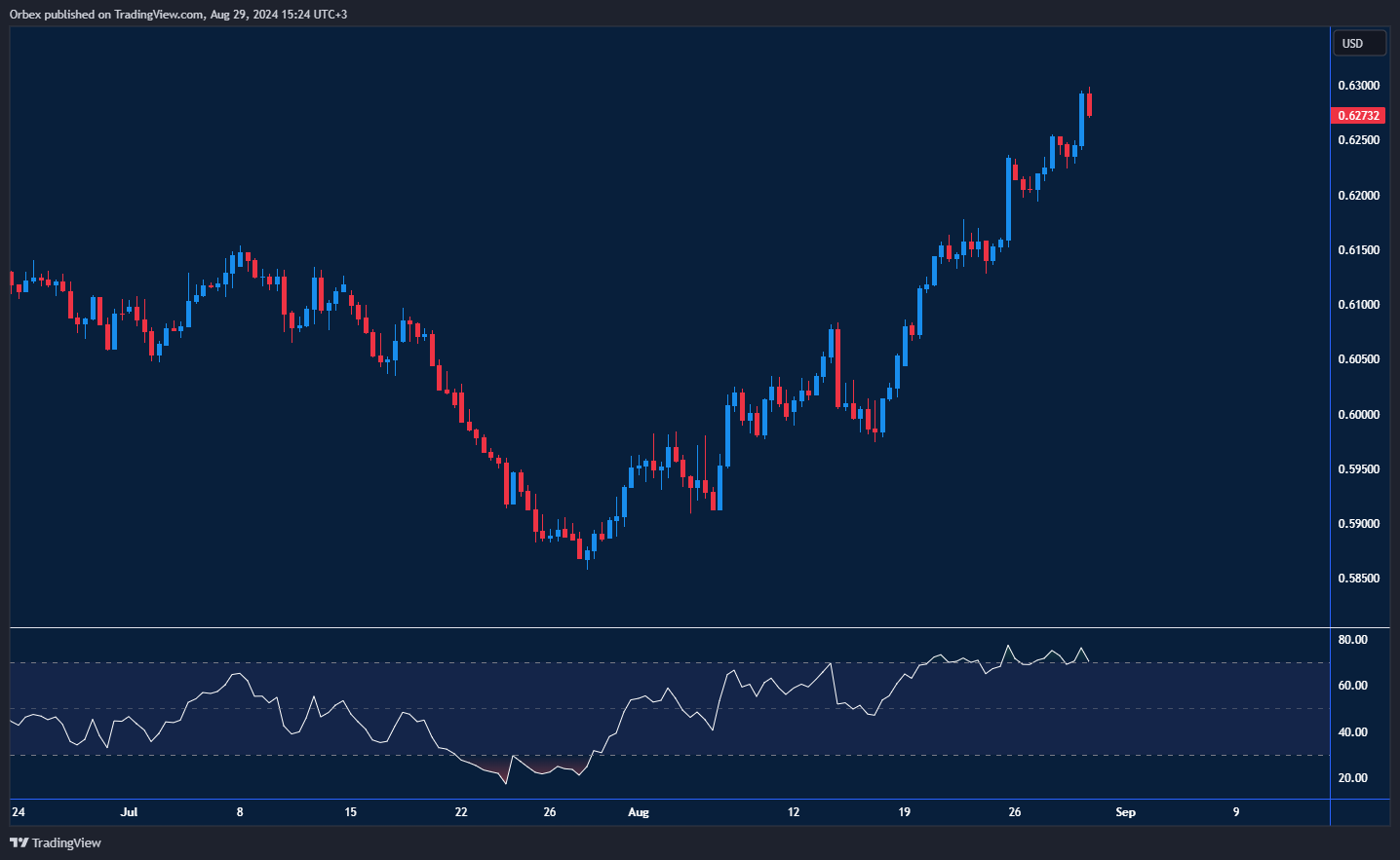 NZDUSD showing a recent high with potential for further gains and key support levels.