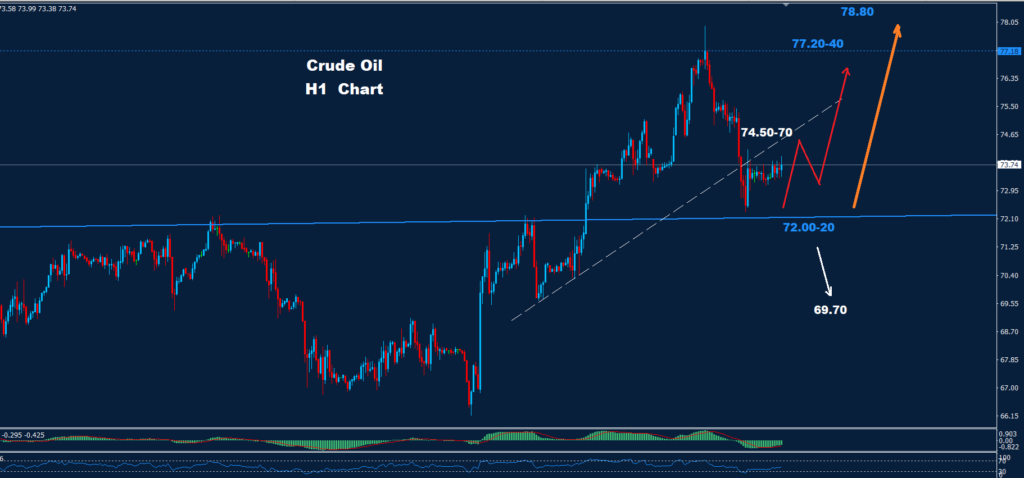 Crude Oil – 09.10.2024