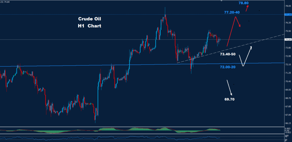 Crude Oil – 11.10.2024