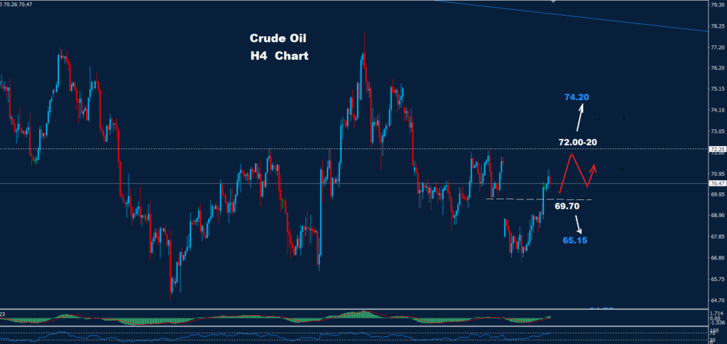 Crude Oil – 01.11.2024