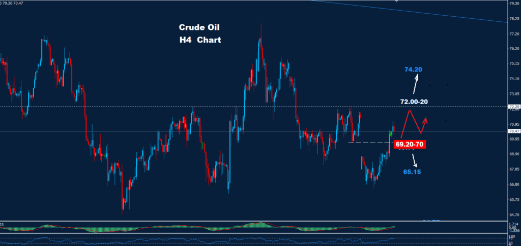 Crude Oil – 05.11.2024