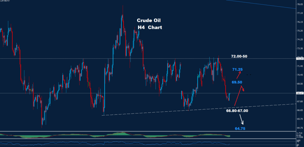 Crude Oil – 15.11.2024