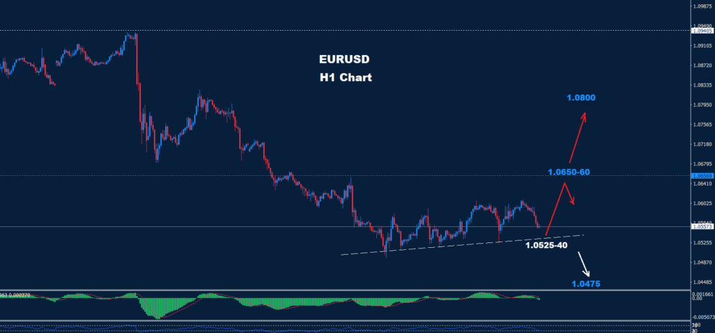 EUR/USD – 20.11.2024