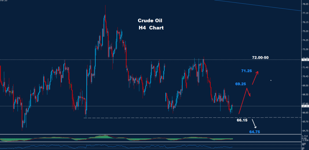 Crude Oil – 20.11.2024