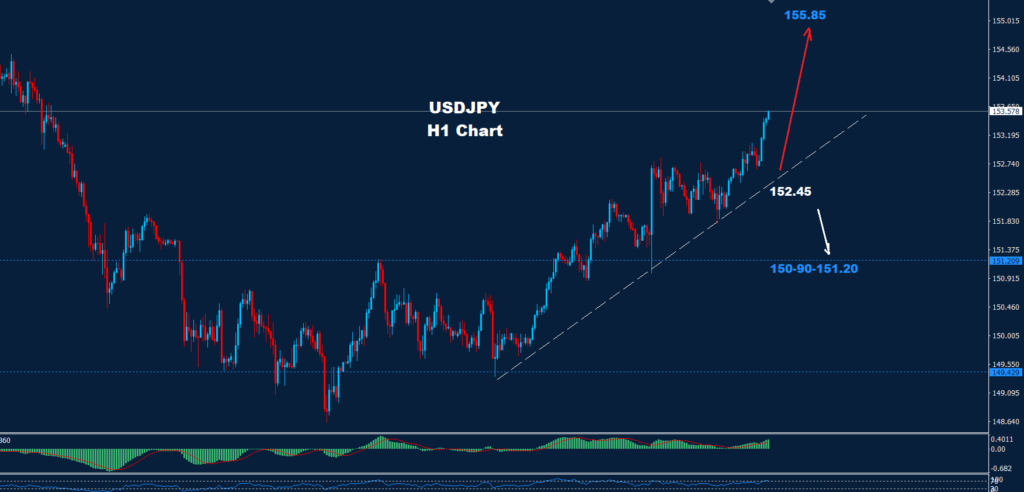 USD/JPY –13.12.2024