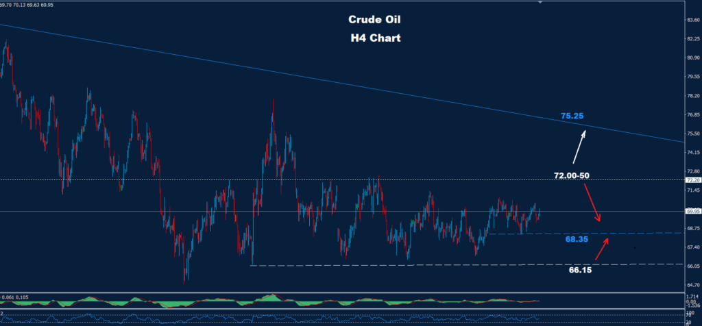 Crude Oil – 30.12.2024
