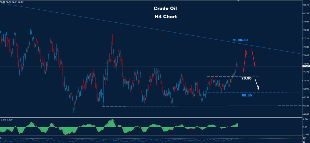 Crude Oil – 10.01.2024