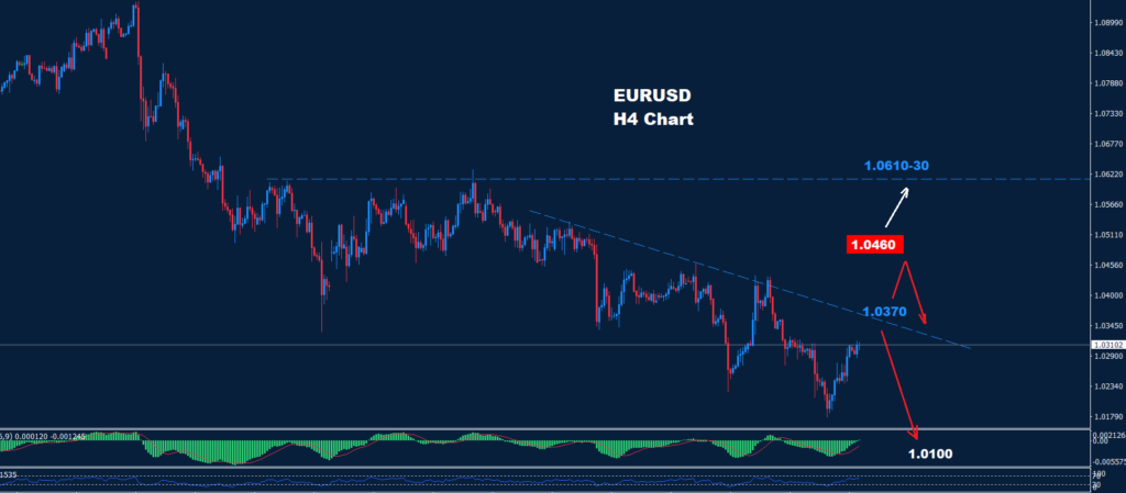 EUR/USD –20.01.2025