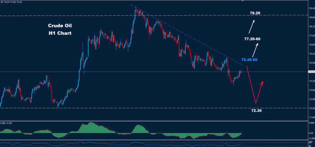 Crude Oil –24.01.2025