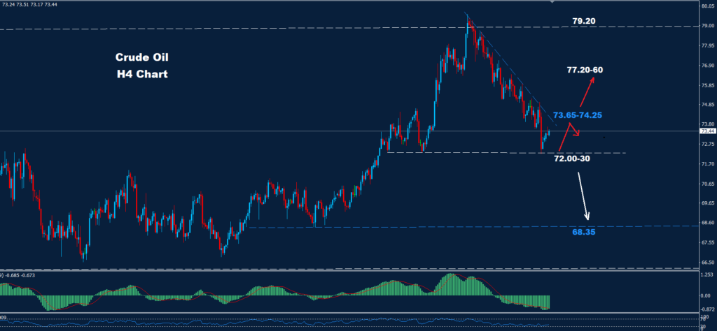 Crude Oil – 28.01.2025