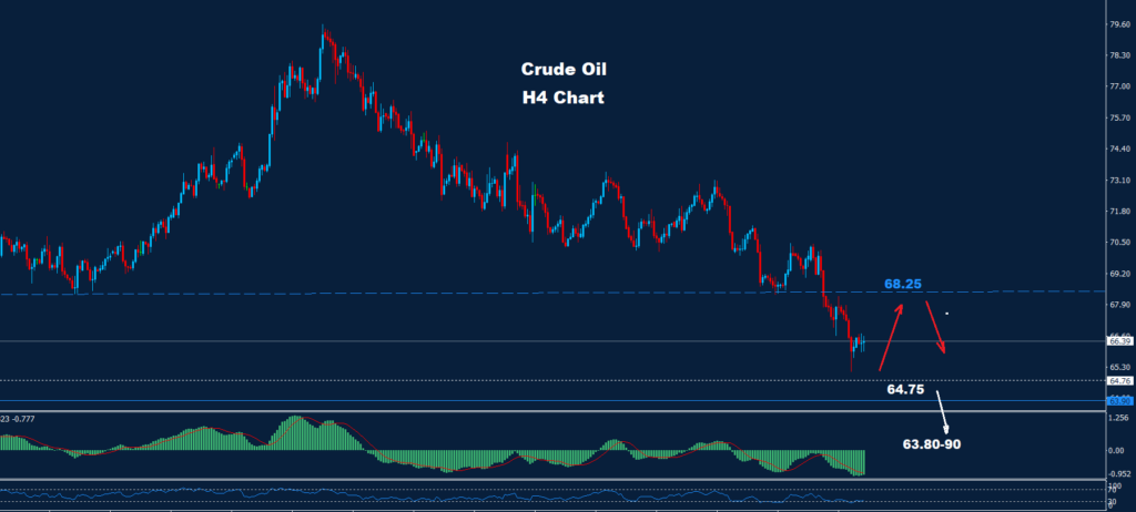 Crude Oil –13.03.2025