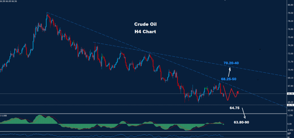 Crude Oil –21.03.2025