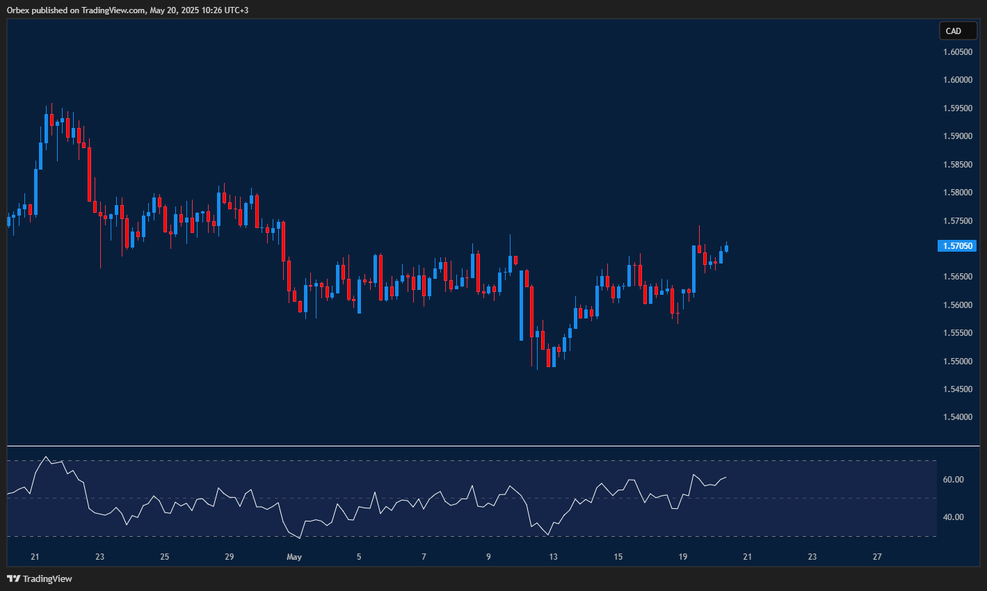Euro faces resistance as Canadian dollar trims earlier losses