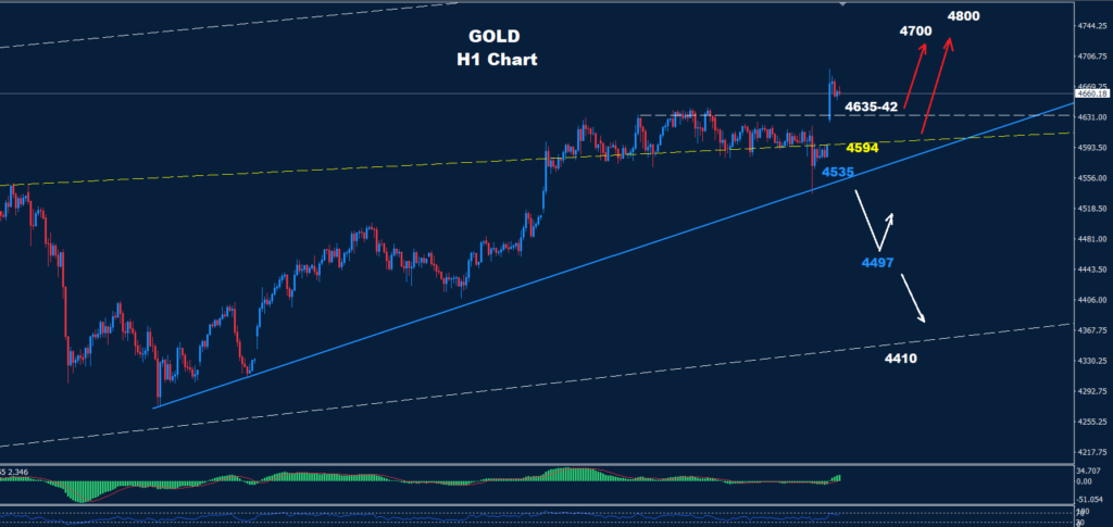 Gold – 20.01.2026