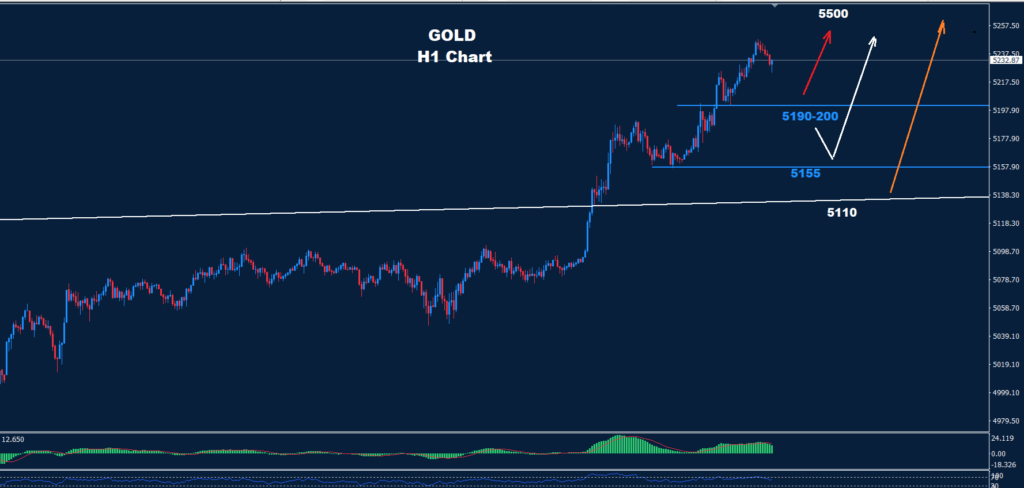Gold –28.01.2026