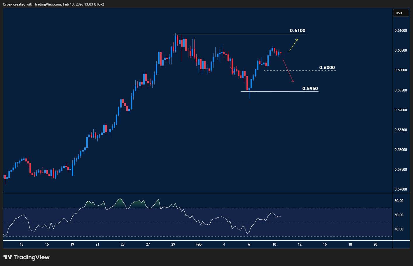 NZDUSD chart showing consolidation above psychological support with rebound attempts.