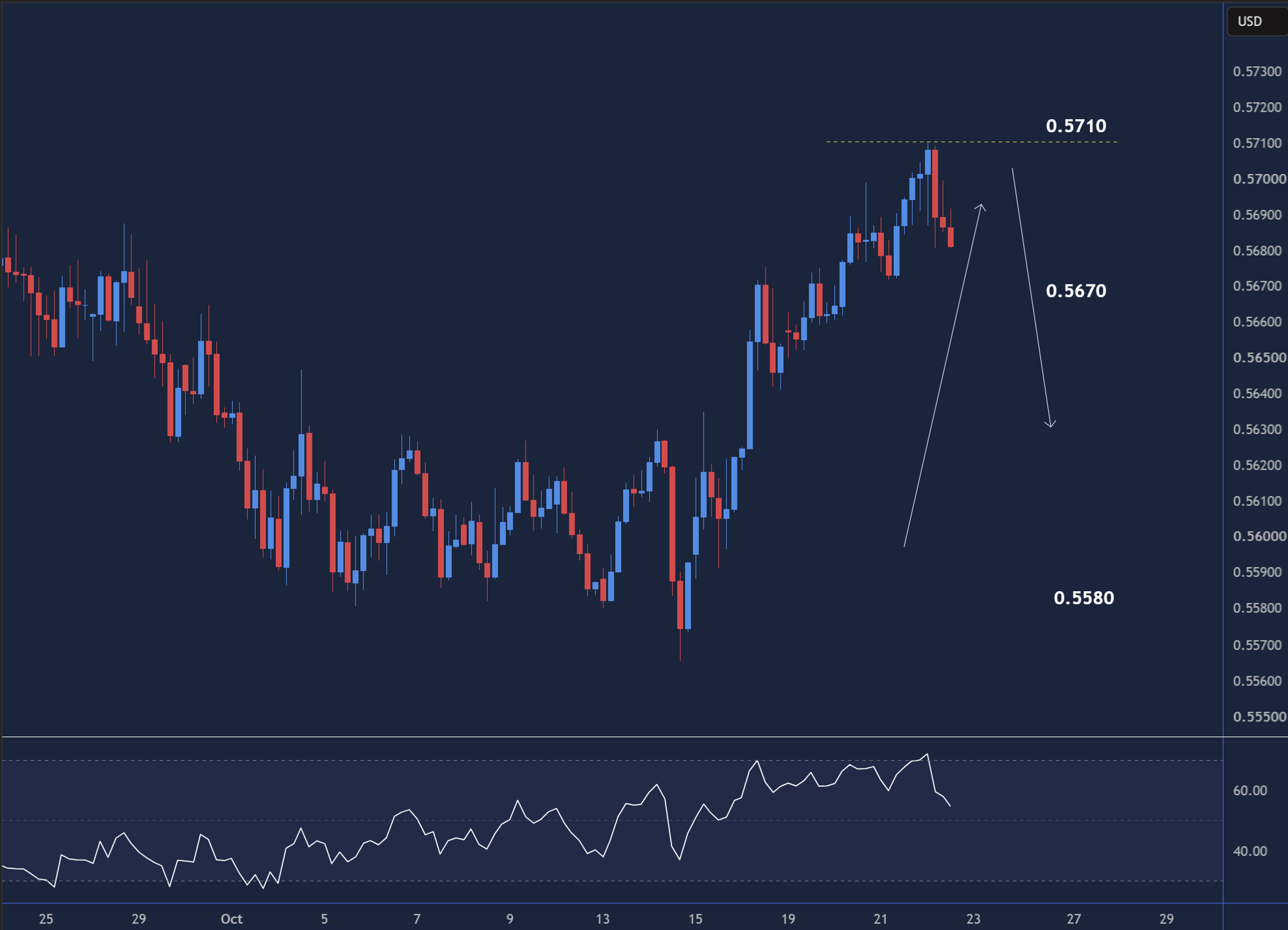 NZDUSD intraday chart displaying price trends and key support and resistance levels.